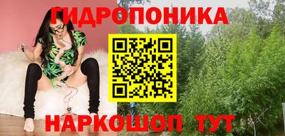 гидропоника Заволжье