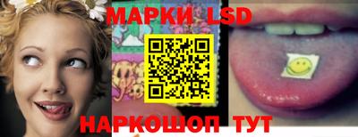 гидропоника Заволжье